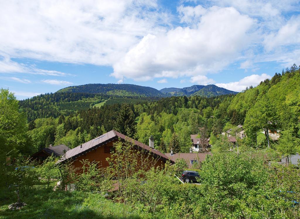 Chalet Ott - Apartment In The Mountains With Sauna Saint-Cergue Kamer foto