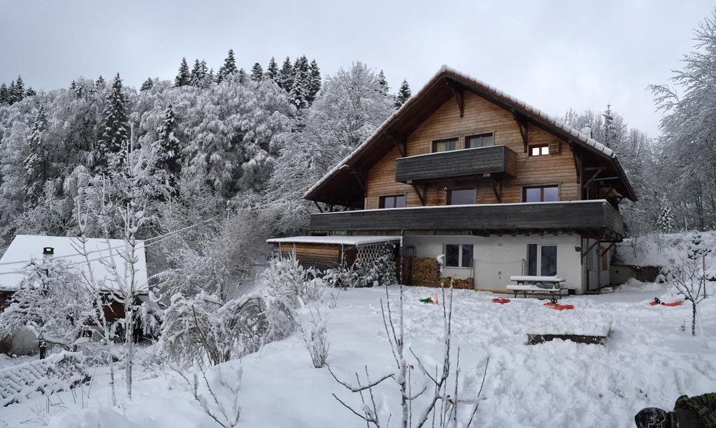 Chalet Ott - Apartment In The Mountains With Sauna Saint-Cergue Kamer foto